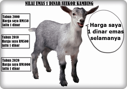 Nilai Emas 1 Dinar Seekor Kambing